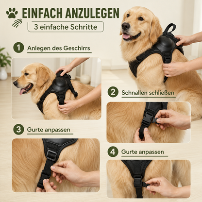 Hundegeschirr mit Automatikleine | Sicheres & Ausbruchsfreies Design