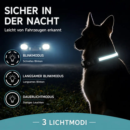 LED Hundehalsband mit AirTag Halterung | Reflektierend & sicher bei Nacht