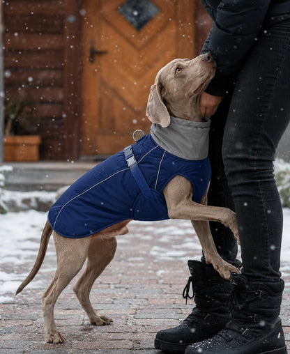 Winter Hundemantel | Wasserdichte Hundejacke mit Reflektoren