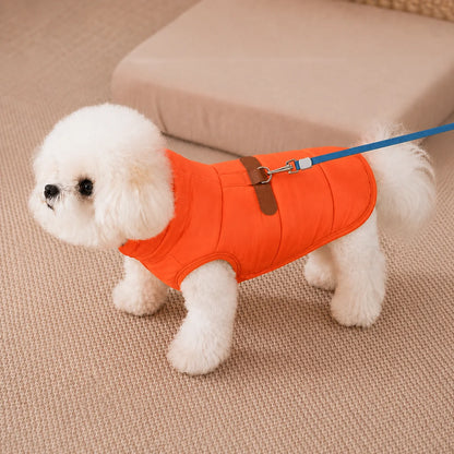 Winter-Hundemantel für kleine Hunde | Warm & winddicht