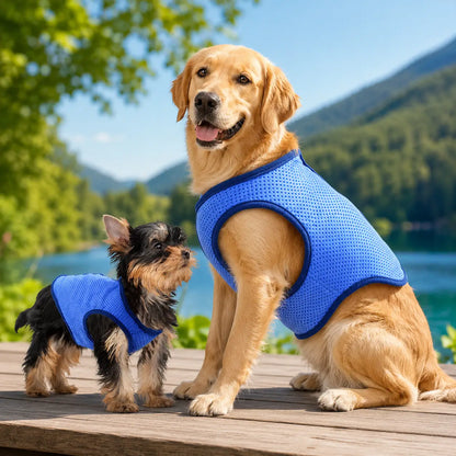 Hunde Kühlweste | Atmungsaktive Kühlweste für heiße Sommertage
