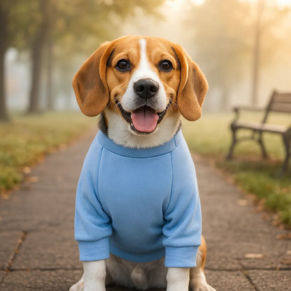 Hundemantel mit Tasche | Stilvoller & Bequemer Hundepullover Alltag