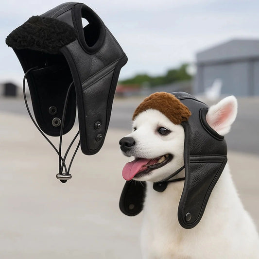 Hunde Mütze Winter | Warme & Winddichte Fliegermütze für Hunde
