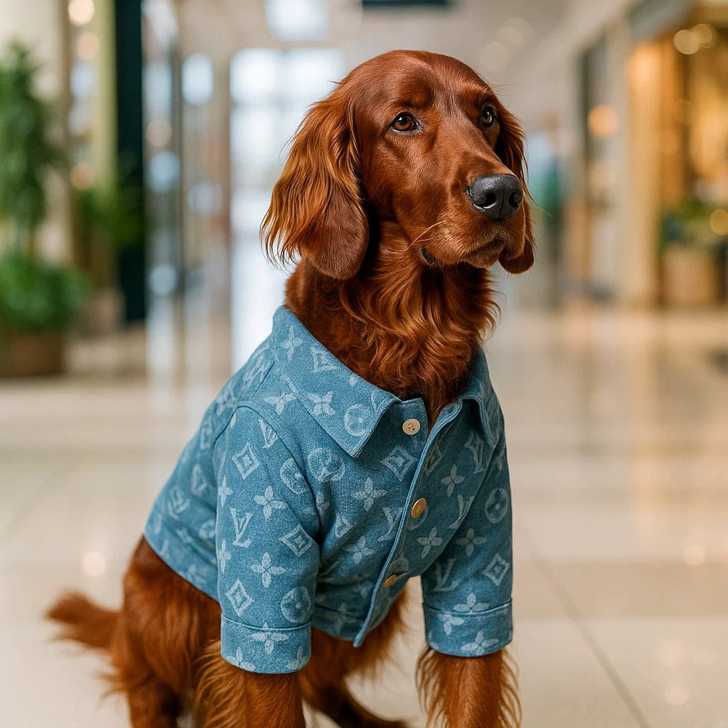Hundemantel Jeans | Stylische & Bequeme Hundejeansjacke Alltag