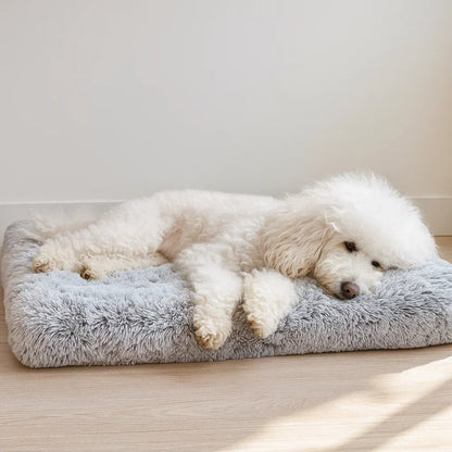 Hundebett | Weiches & Waschbares Kuschelbett für Ruhigen Schlaf