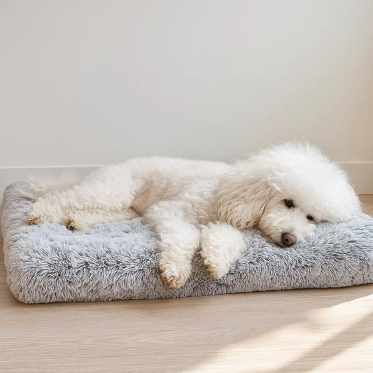 Hundebett | Weiches & Waschbares Kuschelbett für Ruhigen Schlaf