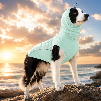 Hundekühlweste mit UV-Schutz UPF 50+ | Atmungsaktiver Kühlmantel für Hunde & Katzen