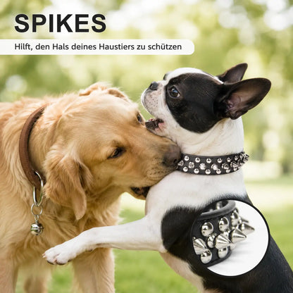 Leder Hundehalsband mit Nieten & Stacheln | stilvoll & robust