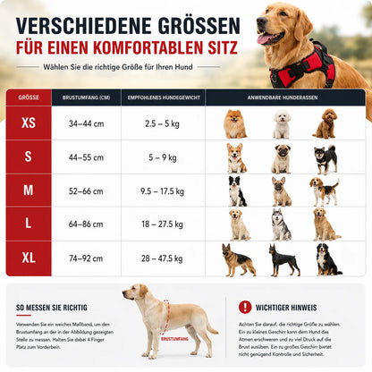 Reflektierendes Hundegeschirr mit Griff | Atmungsaktiv, Verstellbar & Gepolstert