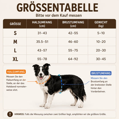 Anti-Zug Hundegeschirr mit Griff | Reflektierend & Verstellbar