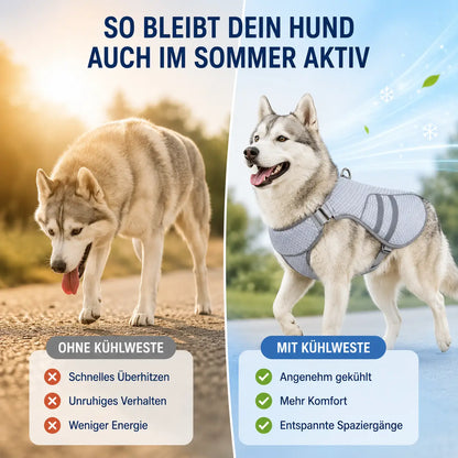 Hundekühlweste mit Verdunstungskühlung für warme Sommertage