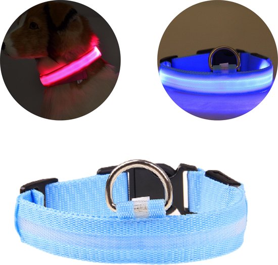 NightBuddy – LED Hundehalsband für maximale Sichtbarkeit im Dunkeln