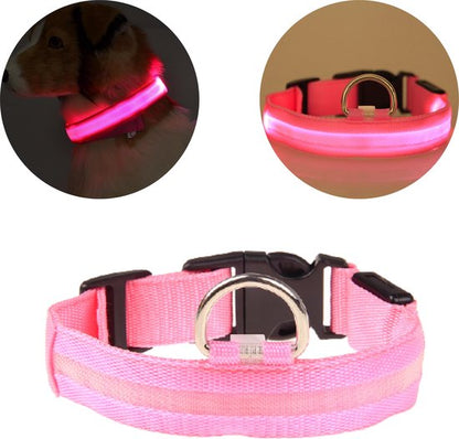 NightBuddy – LED Hundehalsband für maximale Sichtbarkeit im Dunkeln