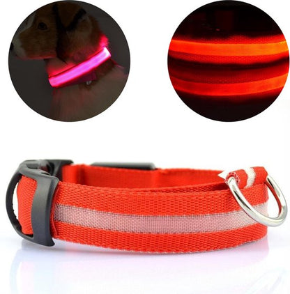 NightBuddy – LED Hundehalsband für maximale Sichtbarkeit im Dunkeln