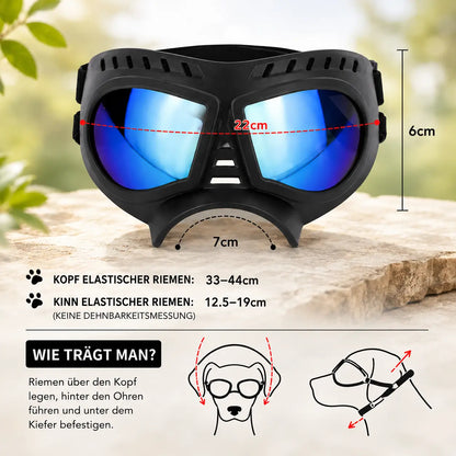 Hundeschutzbrille – Winddicht & mit UV-Schutz für kleine und mittelgroße Hunde