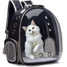 VistaBag – Der stylische Katzen-Rucksack für sicheren & stressfreien Transport
