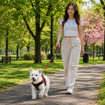 Reflektierendes Hundegeschirr mit Griff | Atmungsaktiv, Verstellbar & Gepolstert