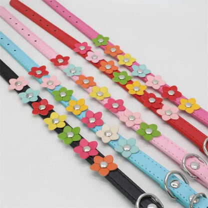 Hundehalsband verstellbar | Robust & weich mit Blumenmuster