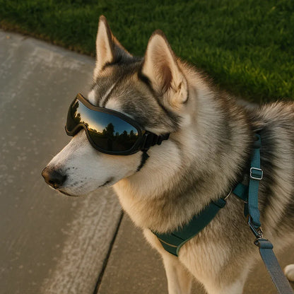 Skibrille für Hunde mit UV-Schutz – verstellbare Sonnenbrille