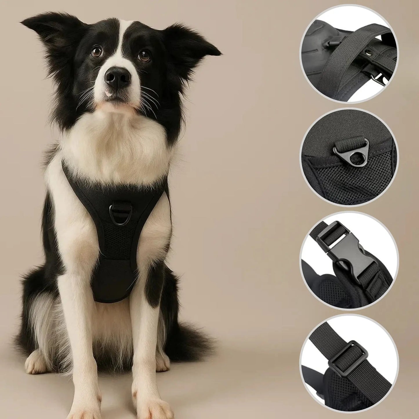 Hundegeschirr mit Automatikleine | Sicheres & Ausbruchsfreies Design