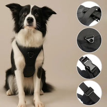 Dog harness with automatic leash | Safe & escape-proof design