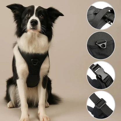 Hundegeschirr mit Automatikleine | Sicheres & Ausbruchsfreies Design