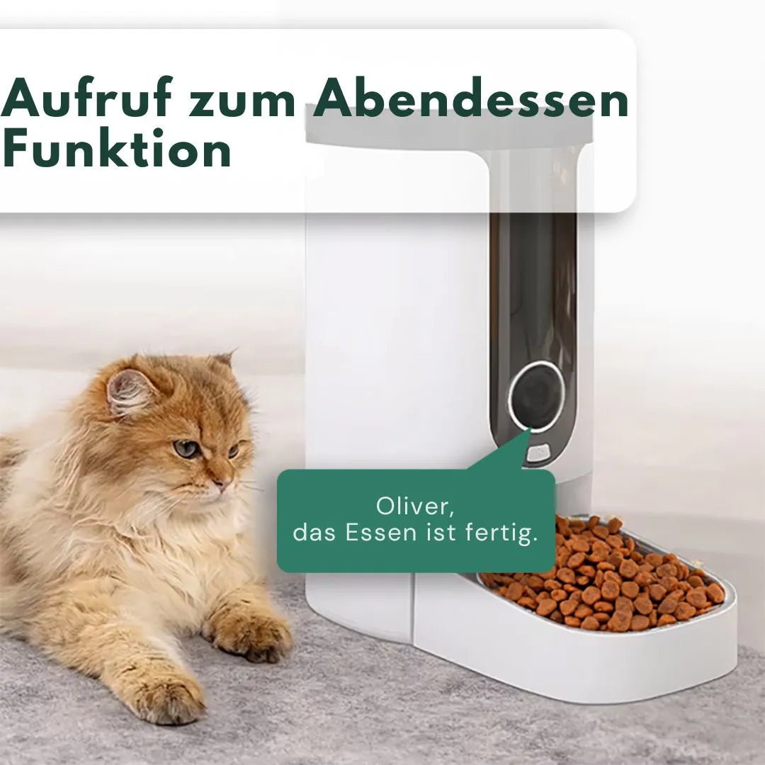 SnackMeister – Der clevere Futterspender & Spielkamerad für Katzen