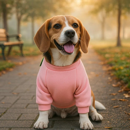 Hundemantel mit Tasche | Stilvoller & Bequemer Hundepullover Alltag