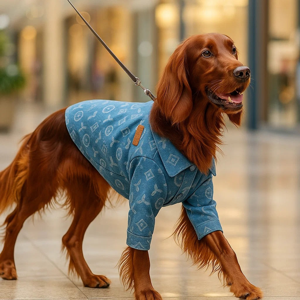 Hundemantel Jeans | Stylische & Bequeme Hundejeansjacke Alltag