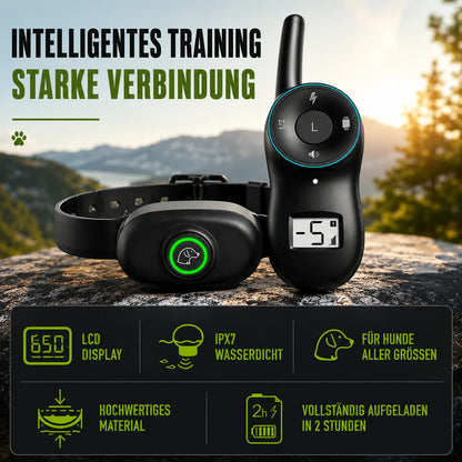 Anti-Bell Hunde Halsband mit Fernbedienung | Wasserdicht & USB