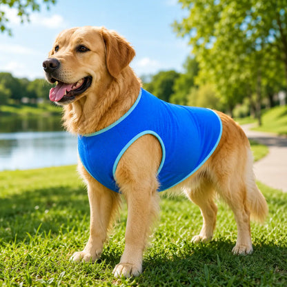 Kühlweste für Hunde & Katzen | Atmungsaktive Kühlweste für den Sommer