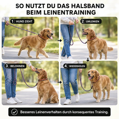 Anti-Zug Hundehalsband | Sanfte Kontrolle & Training