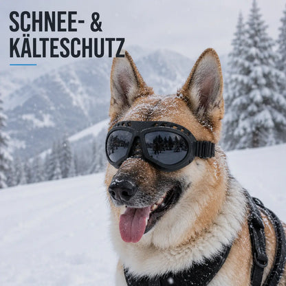 Hundeschutzbrille – Winddicht & mit UV-Schutz für kleine und mittelgroße Hunde