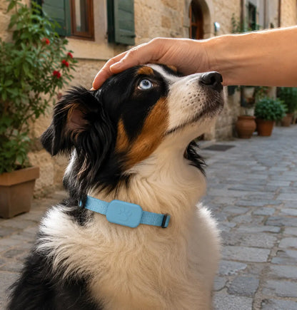 GPS Tracker for Dogs & Cats with Real-Time Location
