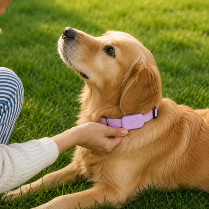 GPS Tracker for Dogs & Cats with Real-Time Location