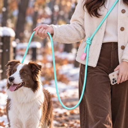 Hundeleine | Verstellbare Nylon Führleine für Winterspaziergänge