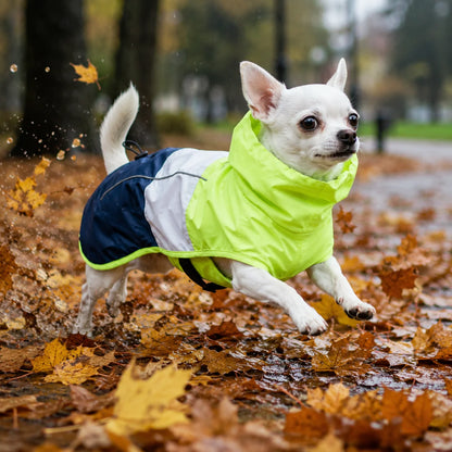 Hundemantel Regenjacke | Wasserdicht & atmungsaktiv für Hunde