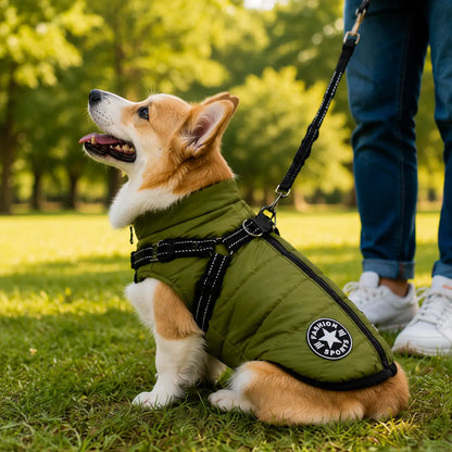 Wasserdichter Hundemantel mit Geschirr für kleine & mittlere Hunde