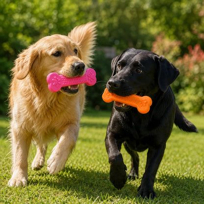 Extrem robuster Gummiknochen für Hunde – unzerstörbar & zahnfreundlich