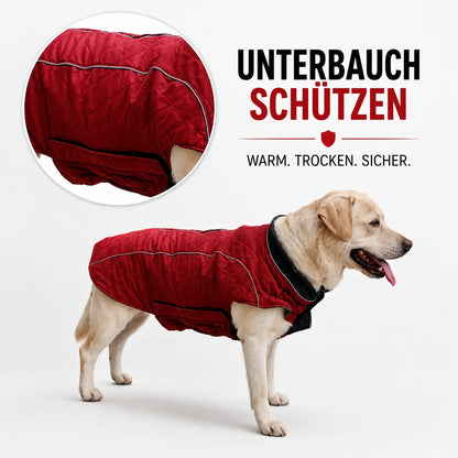 Gesteppte Hundeweste | Warm & Wasserabweisend