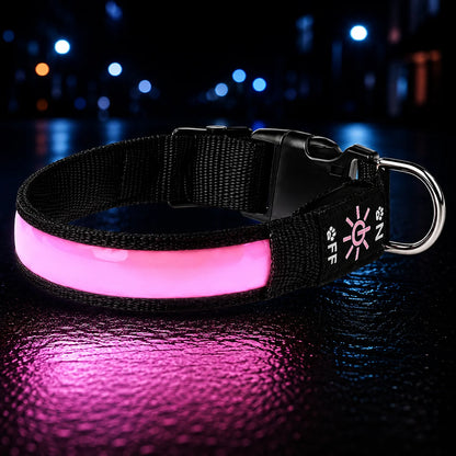 LED Hundehalsband USB Wiederaufladbar Leuchtend Verstellbar