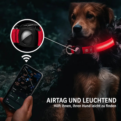 LED Hundehalsband mit AirTag Halterung | Reflektierend & sicher bei Nacht