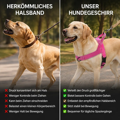 Anti-Zieh Hundegeschirr | Verstellbar, gepolstert & reflektierend