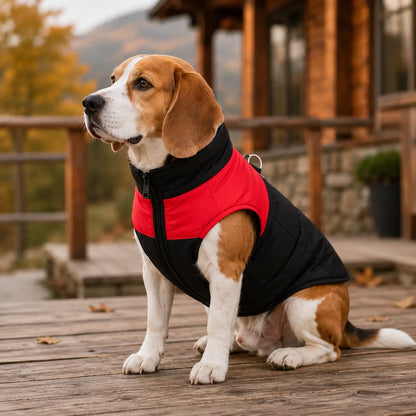 Wasserdichte Hundewinterjacke mit Reißverschluss für Hunde