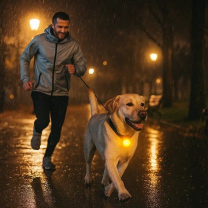 LED-Licht für Hundehalsband | wasserdicht & wiederaufladbar
