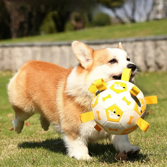 TugBall – Der robuste Zerrball für aktive Hunde
