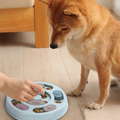 SnackPilot – Der interaktive Futterspender für neugierige Hunde