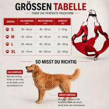 Hundegeschirr mit Leine | verstellbar, leicht & sicher