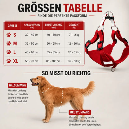 Hundegeschirr mit Leine | verstellbar, leicht & sicher