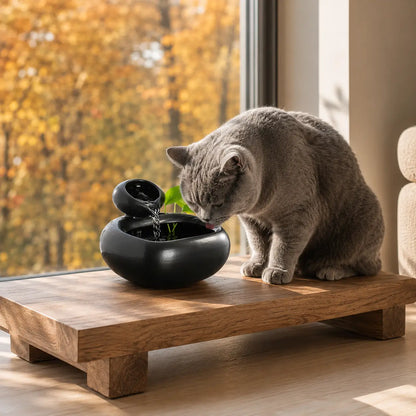 Keramik Katzenbrunnen ohne Filter | 1 L Trinkbrunnen mit USB